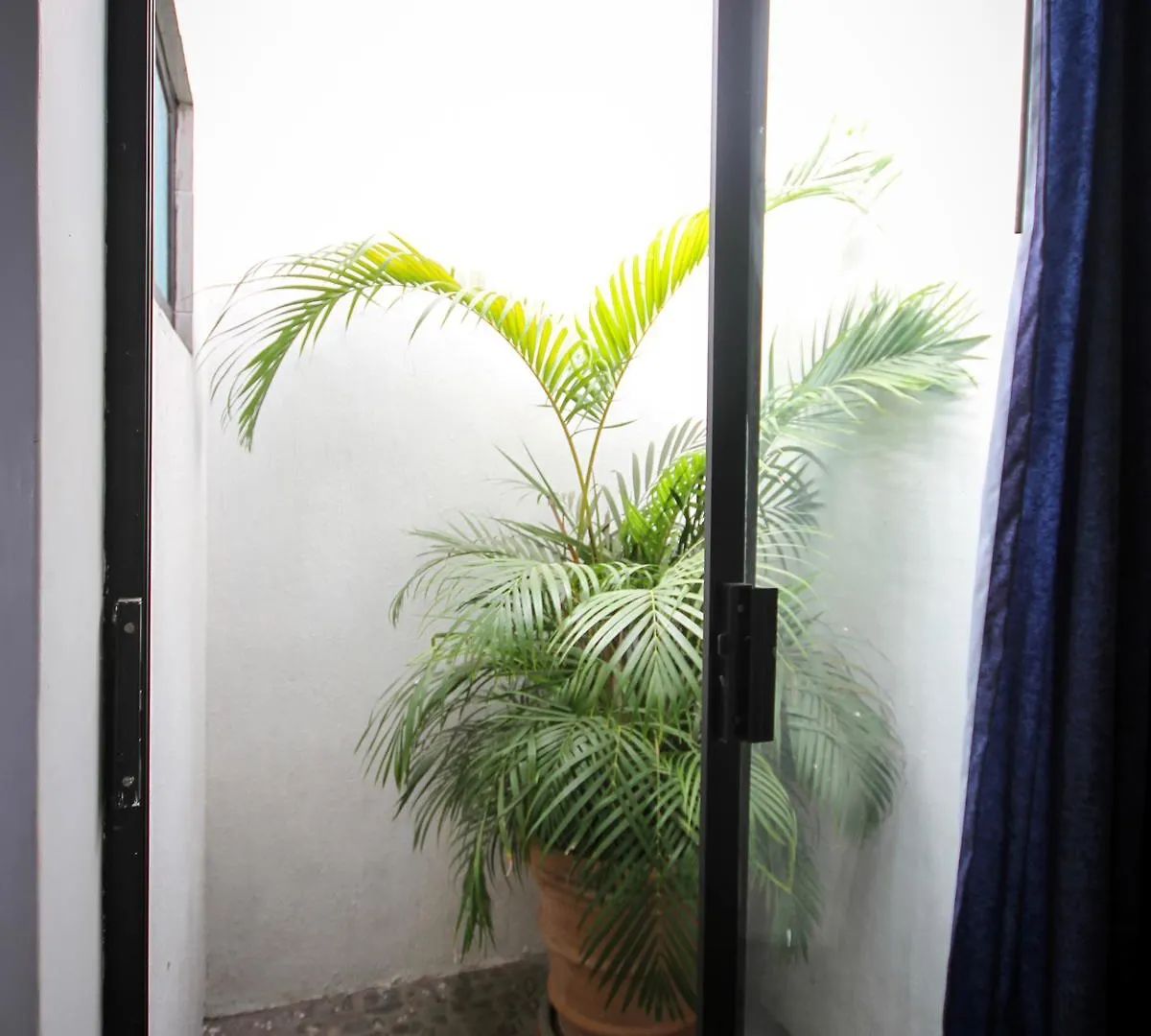 Hotel Arboledas Industrial Guadalajara